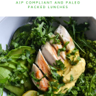 eBook Review:  'Let's do Lunch' - AIP Lunches made easy!