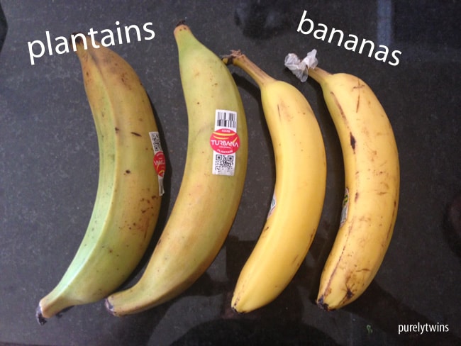 Plantain vs banana