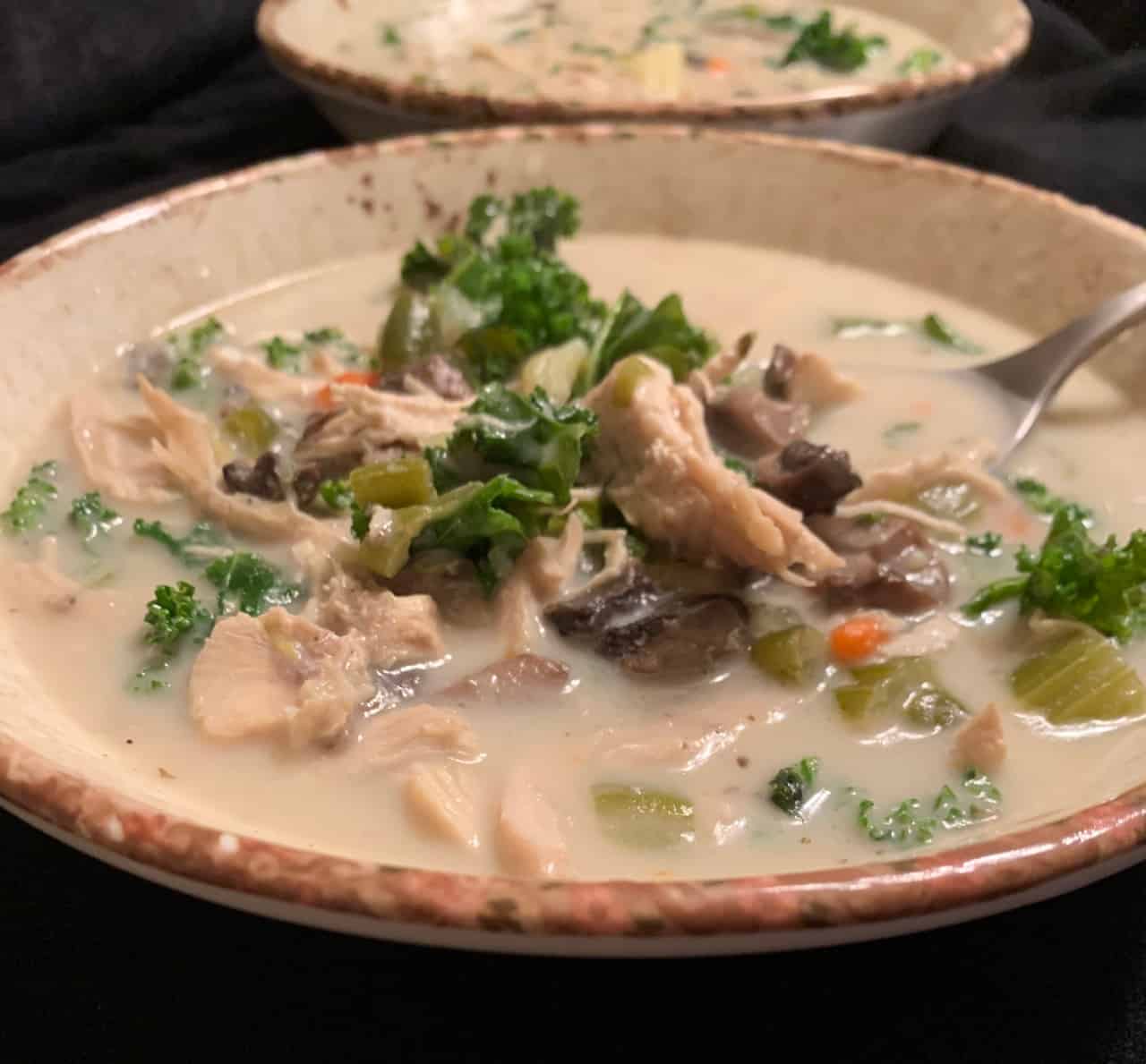 Instant Pot Creamy Chicken and Vegetable Soup (Paleo, AIP, Whole30 ...