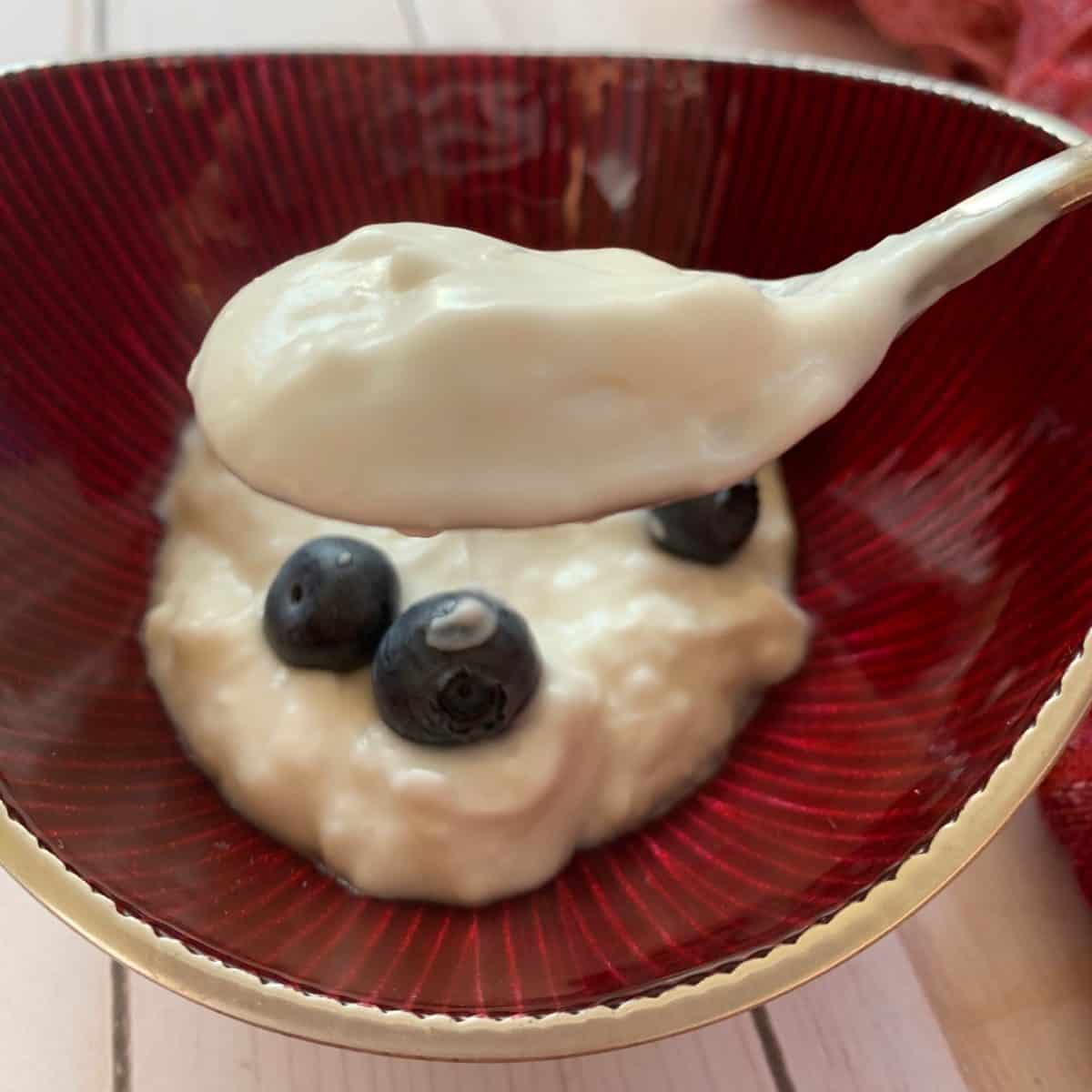 Creamy Coconut Yoghurt